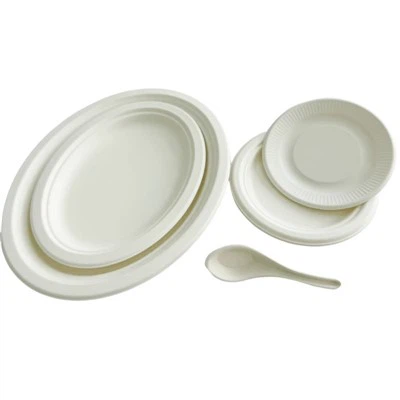 Cukranendrių Bagasse lėkštė